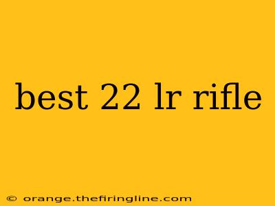 best 22 lr rifle