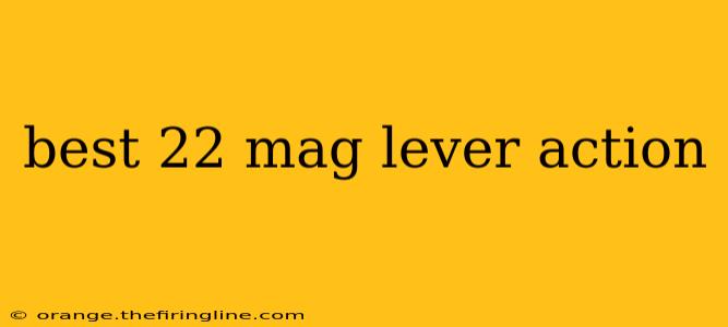 best 22 mag lever action