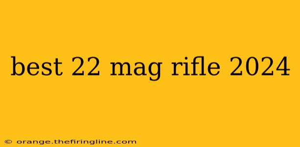 best 22 mag rifle 2024