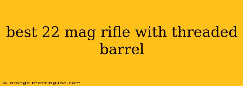 best 22 mag rifle with threaded barrel