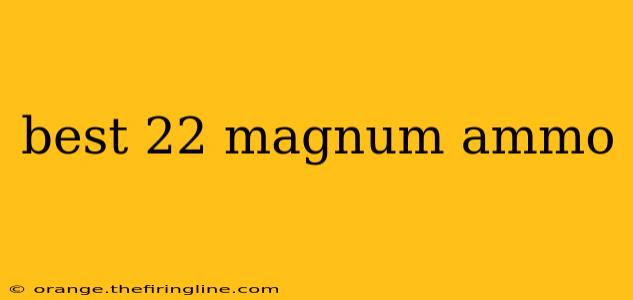 best 22 magnum ammo