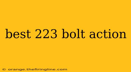 best 223 bolt action