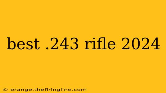 best .243 rifle 2024