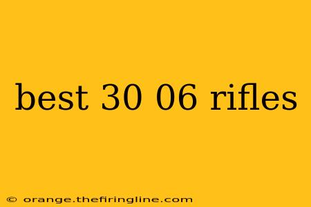 best 30 06 rifles