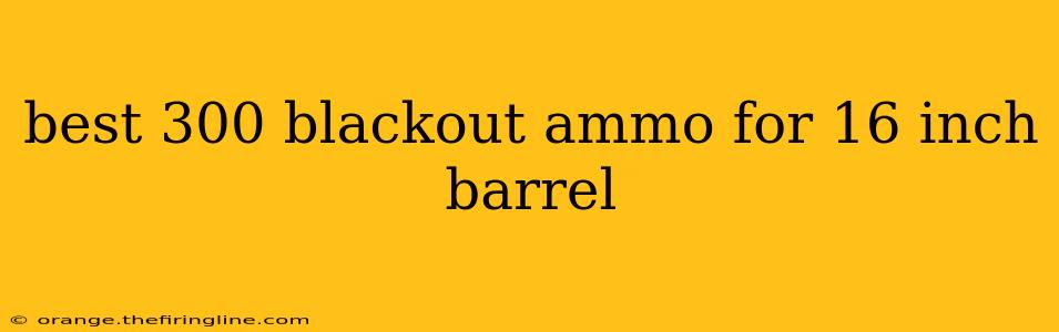 best 300 blackout ammo for 16 inch barrel