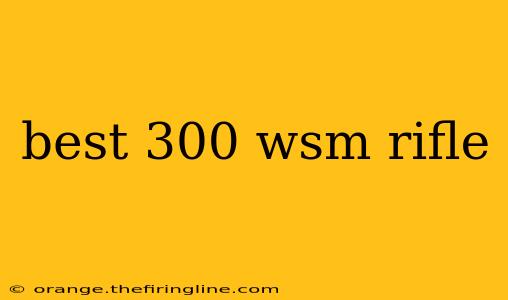 best 300 wsm rifle