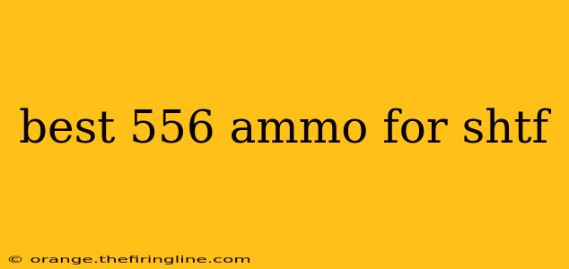 best 556 ammo for shtf