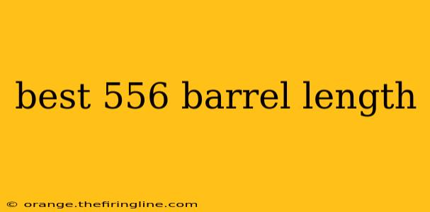 best 556 barrel length