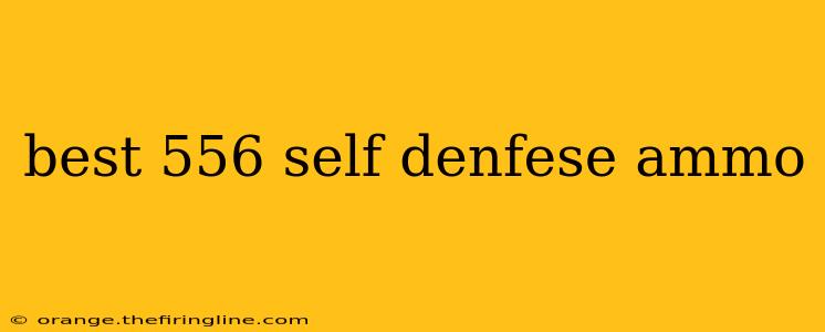 best 556 self denfese ammo