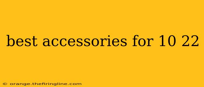 best accessories for 10 22