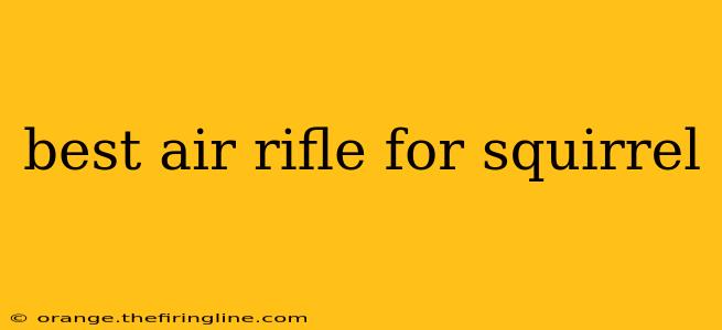 best air rifle for squirrel