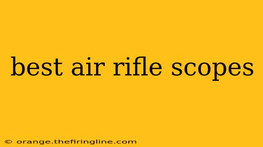 best air rifle scopes