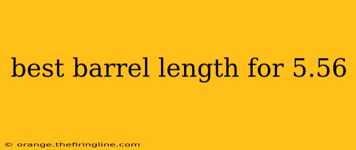 best barrel length for 5.56