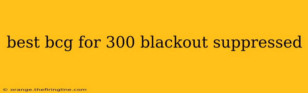 best bcg for 300 blackout suppressed