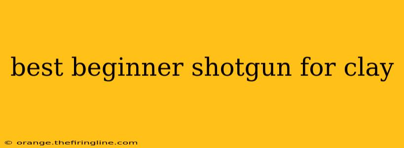 best beginner shotgun for clay