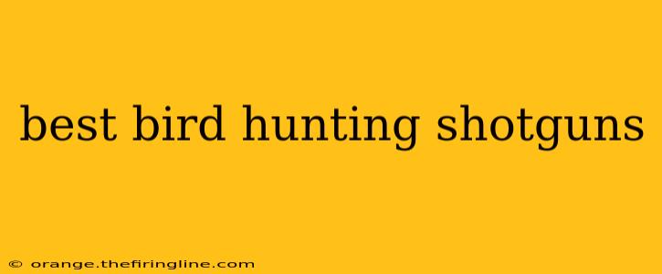 best bird hunting shotguns