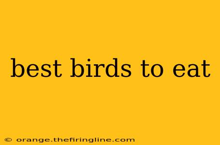 best birds to eat