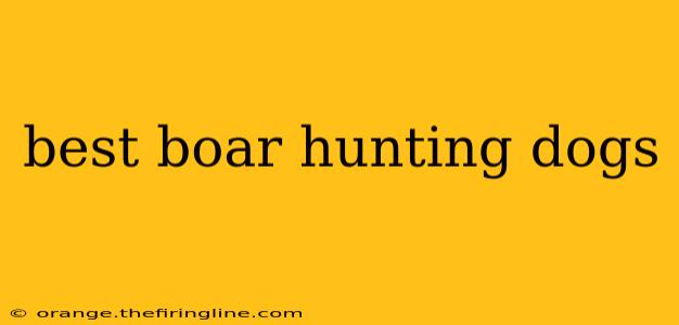 best boar hunting dogs