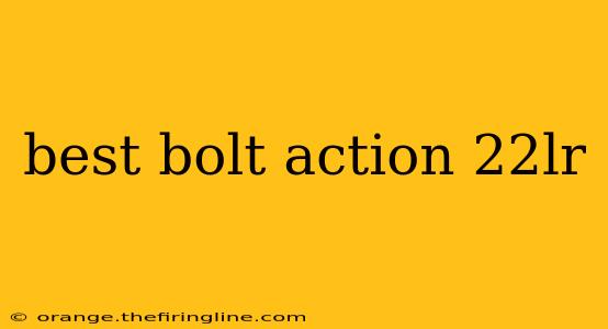 best bolt action 22lr