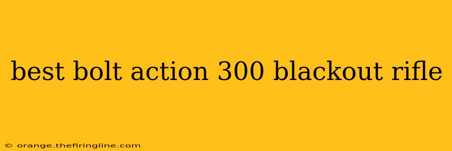 best bolt action 300 blackout rifle