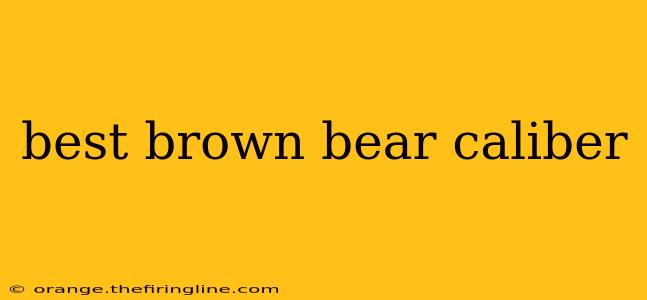 best brown bear caliber