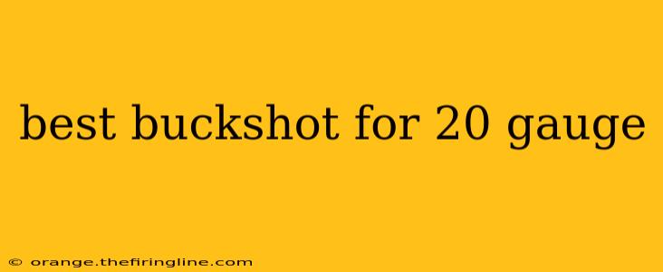 best buckshot for 20 gauge