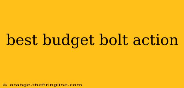 best budget bolt action