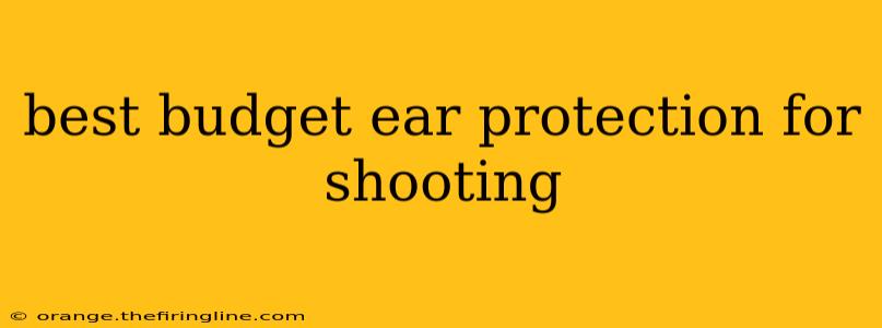 best budget ear protection for shooting