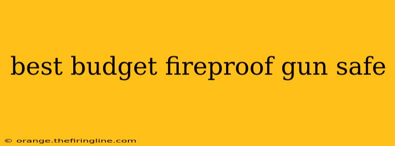 best budget fireproof gun safe