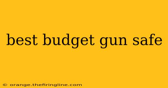 best budget gun safe