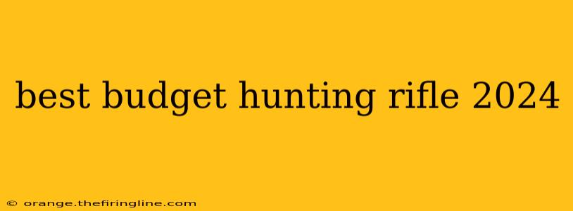 best budget hunting rifle 2024