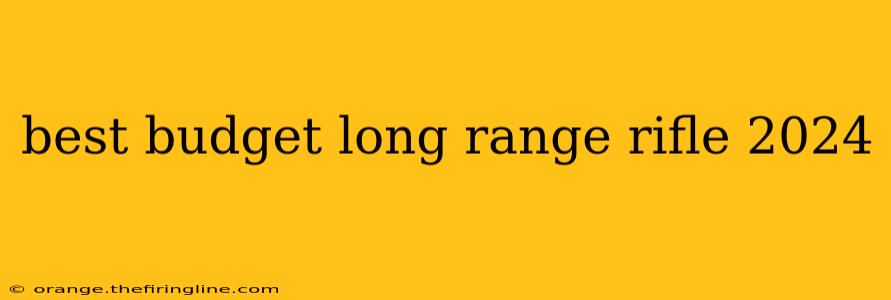 best budget long range rifle 2024