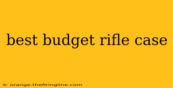 best budget rifle case