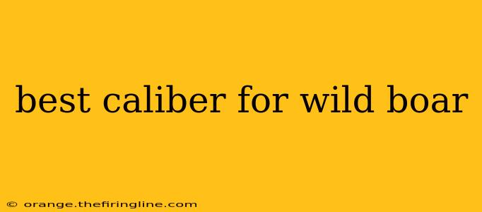 best caliber for wild boar