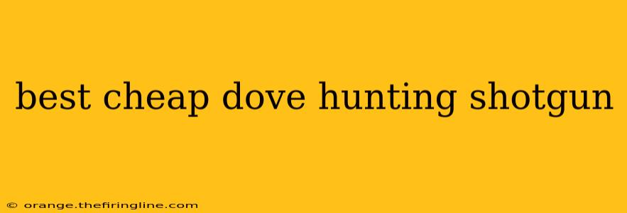 best cheap dove hunting shotgun