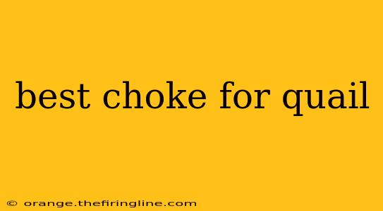 best choke for quail