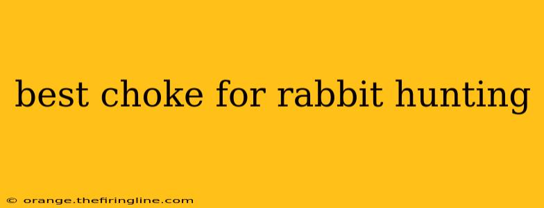 best choke for rabbit hunting