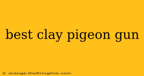 best clay pigeon gun