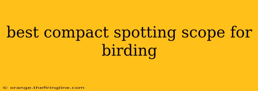 best compact spotting scope for birding