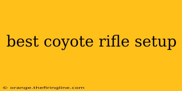 best coyote rifle setup