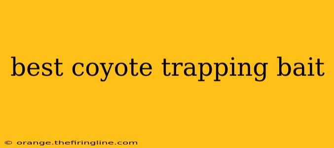 best coyote trapping bait