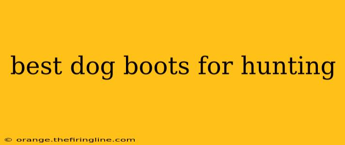 best dog boots for hunting