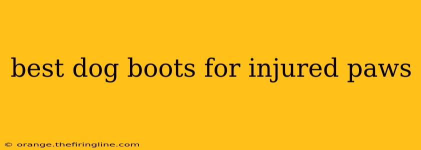 best dog boots for injured paws