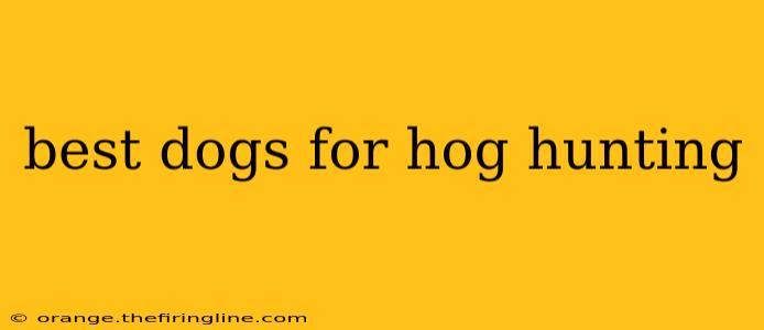 best dogs for hog hunting