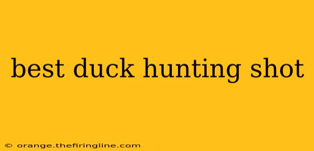 best duck hunting shot