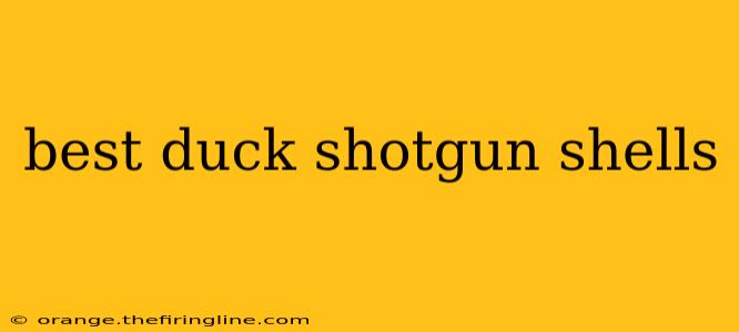 best duck shotgun shells