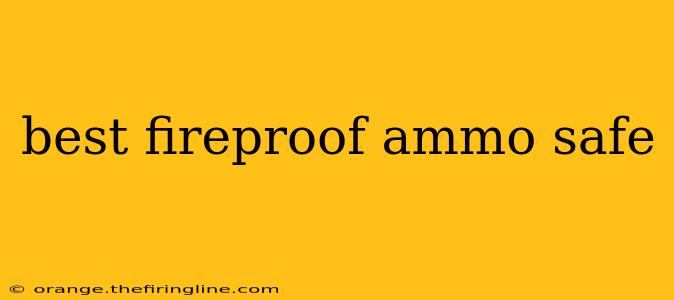 best fireproof ammo safe