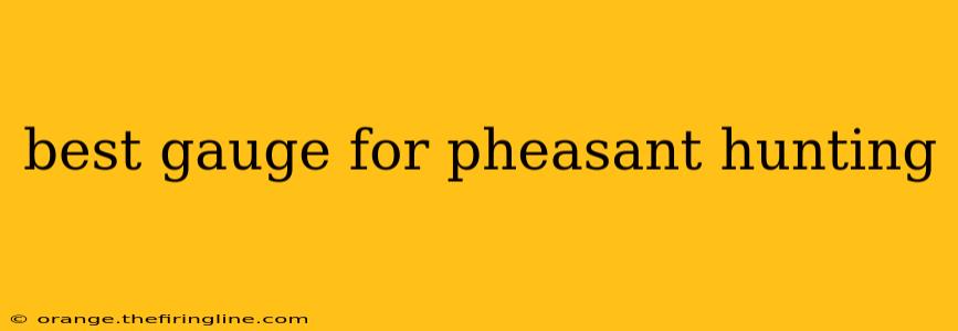 best gauge for pheasant hunting