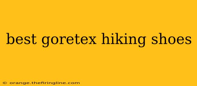 best goretex hiking shoes