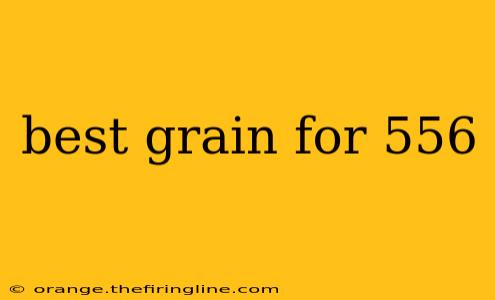 best grain for 556